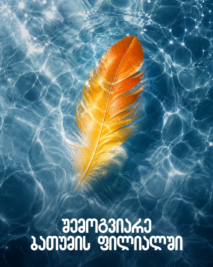 Golden feather poster